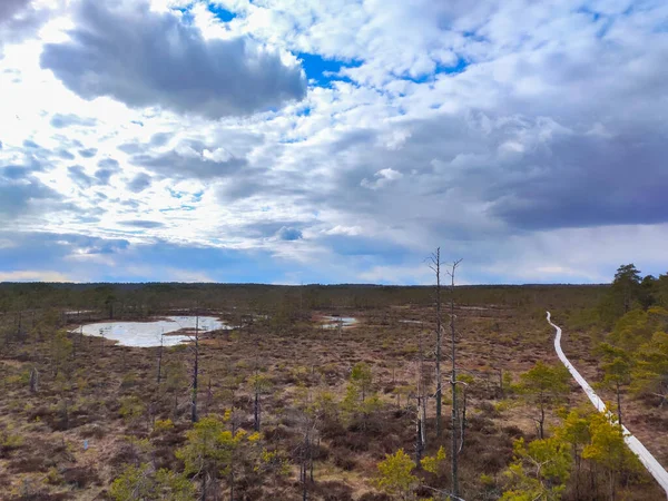 Små Träsköar Vid Skaistasjön Cenas Träsk Lettland Kemeris Nationalpark Idylliskt — Stockfoto