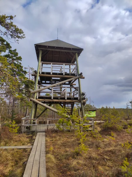 Vakttornet Vid Cenas Träsk Lettland Kemeris Nationalpark Idylliskt Höstlandskap Ekologiskt — Stockfoto