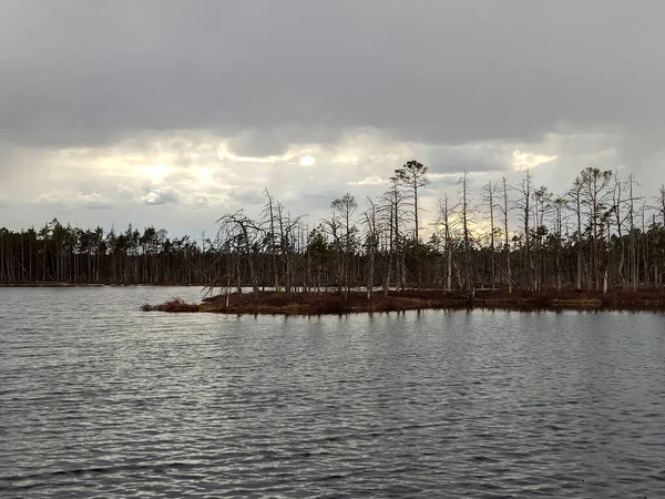 Små Träsköar Vid Skaistasjön Cenas Träsk Lettland Kemeris Nationalpark Idylliskt — Stockfoto