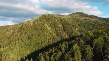 Tatra Dağları Ulusal Parkı Turist Yürüyüş Patikası Sarnia Skala Tepesi Zakopane Tepesi, Polonya. Kaya oluşumu Tatra Dağları Görünümü
