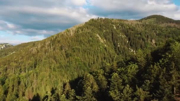Tatra Dağları Ulusal Parkı Turist Yürüyüş Patikası Sarnia Skala Tepesi — Stok video