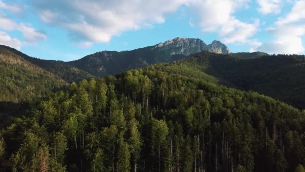 Tatra Mountains National Park Пешеходная Тропа Вершине Горы Сарния Скала — стоковое видео