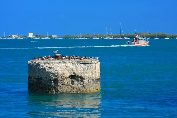 Molo w Key west — Zdjęcie stockowe