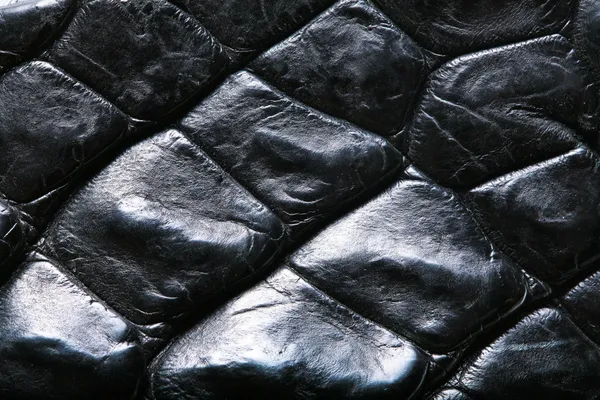 Crocodile skin — Stock Photo, Image