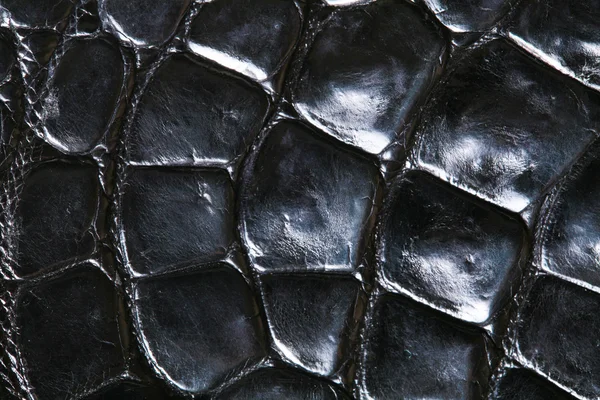Pele de crocodilo — Fotografia de Stock