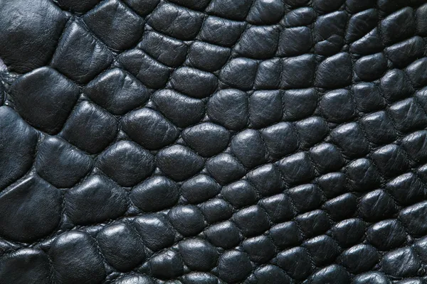 Crocodile skin — Stock Photo, Image