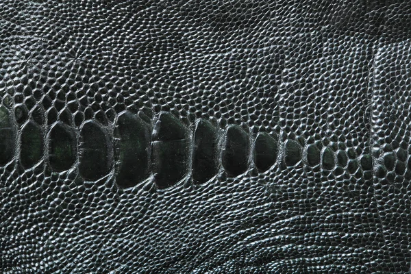 Crocodile skin