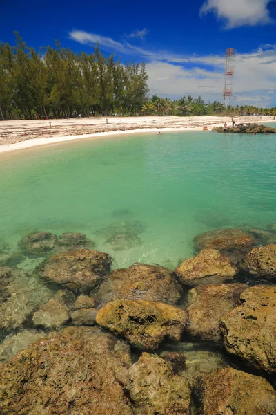 Tropical beach — Stock Photo, Image