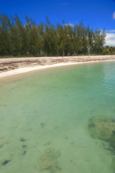 Playa tropical —  Fotos de Stock