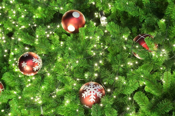 Kerstboom — Stockfoto