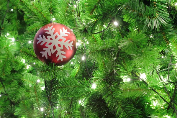 Árbol de Navidad — Foto de Stock