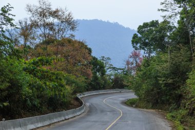 doğa yol