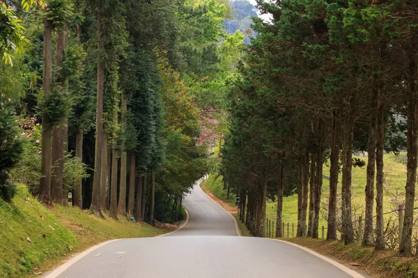 Naturen road — Stockfoto