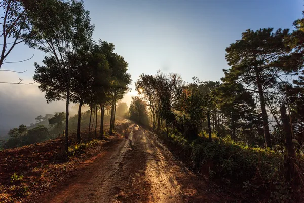 Természet Road — Stock Fotó