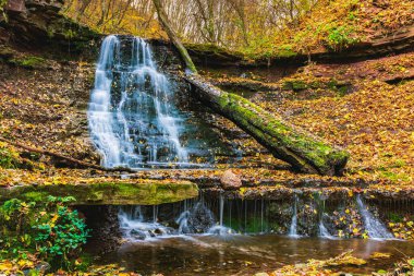 Sonbahar ormanında çağlayan şelale.