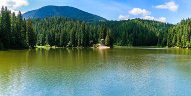 Karpatya dağlarındaki Synevyr Gölü üzerindeki panoramik manzara.