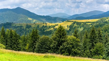 Dağ zirveleri ve ormanları olan güzel bir manzara..