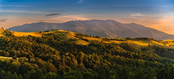 Amazing Sunset Forest Carpathian Mountains Ukraine — Zdjęcie stockowe