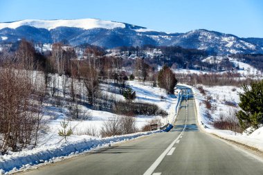 Karlı bir ormanda asfalt dağ yolu, yol kenarındaki huş ağaçları ve çam ağaçları, kışın muhteşem manzarası, gölgeler ve güneş ışığı.