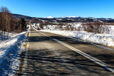 Karlı bir ormanda asfalt dağ yolu, yol kenarındaki huş ağaçları ve çam ağaçları, kışın muhteşem manzarası, gölgeler ve güneş ışığı.