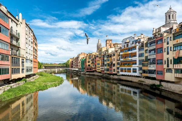 Sarı Turuncu Renkli Evler Ünlü Casa Maso Nehri Onyar Girona — Stok fotoğraf