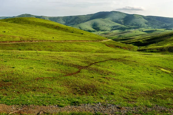 Montagna Paesaggio Tranquillo Monte Zlatibor Serbia — Foto Stock