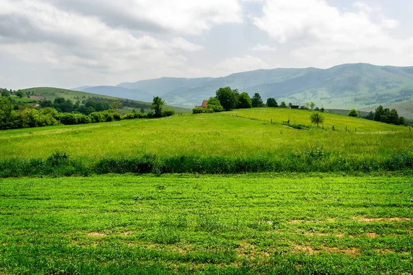 Dağ Manzarası Huzurlu Manzarası Sırbistan Zlatibor Dağı — Stok fotoğraf