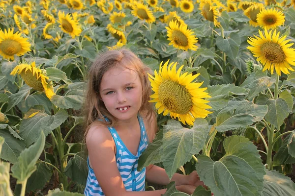 Chica en los girasoles — Foto de Stock