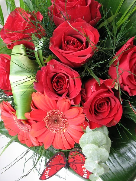 Red roses and butterfly — Stock Photo, Image