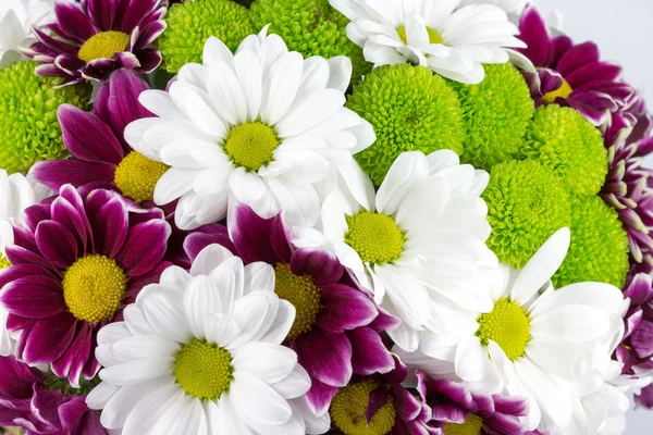 Flowers — Stock Photo, Image