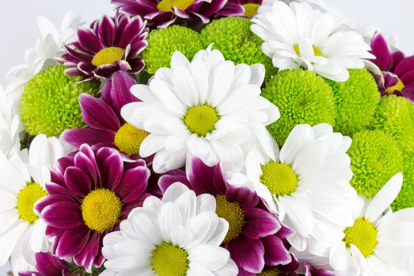 Flowers — Stock Photo, Image