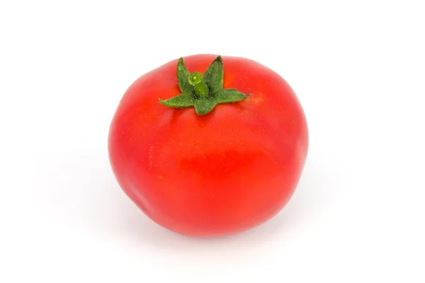 Tomaten — Stockfoto