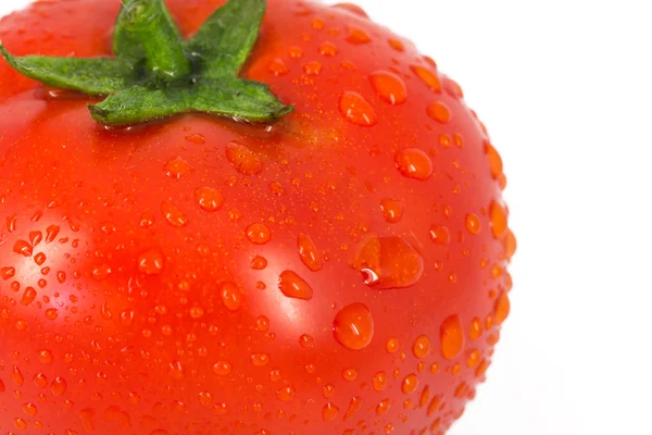 Tomate húmedo — Foto de Stock