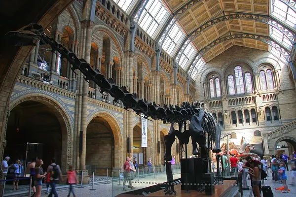 Museo de Historia Natural de Londres — Foto de Stock