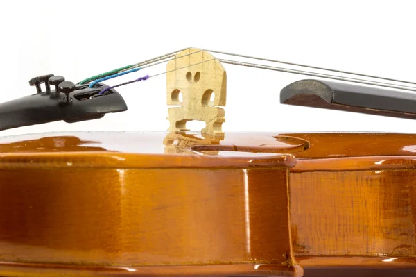 Violín. — Foto de Stock