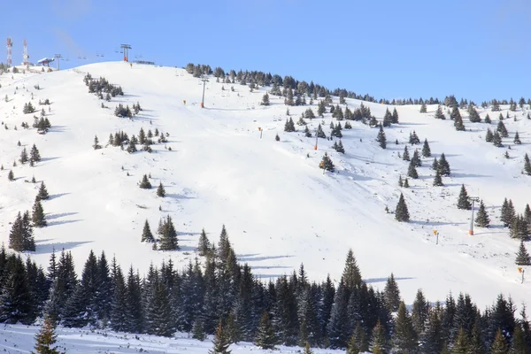 Skipiste — Stockfoto