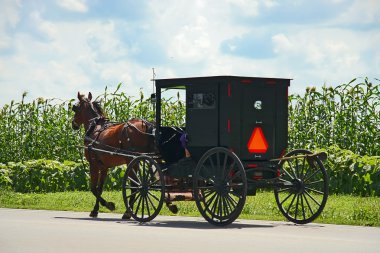 Amish carriage clipart