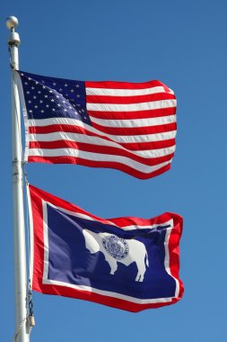 Wyoming bayrağı