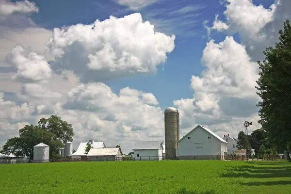 Farma Amiszów — Zdjęcie stockowe