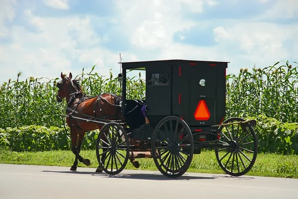 Amish carrozza — Foto Stock