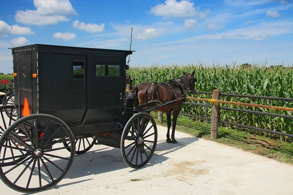 Amish μεταφορά — Φωτογραφία Αρχείου