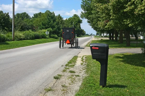 Amish transport — 图库照片