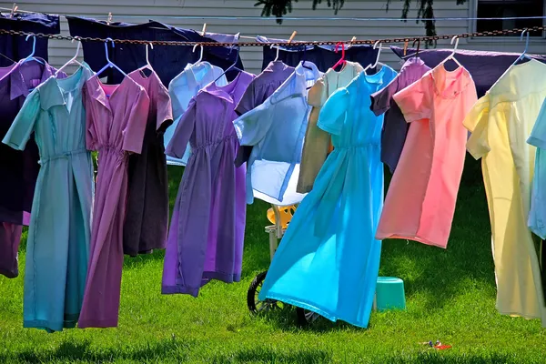 Amish farm and laundry — Stock Photo, Image