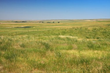 Prairie in Dakota clipart