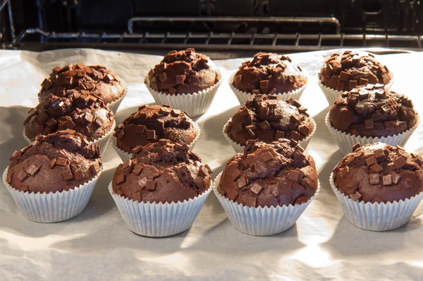 Muffins — Stockfoto