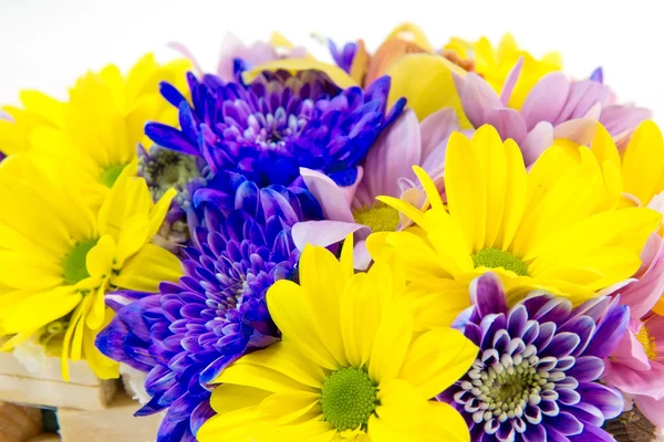 Bunte Blumen — Stockfoto