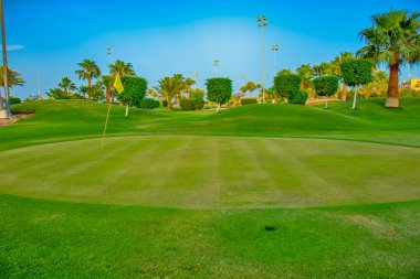 Golf sahası ve palmiye ağaçları