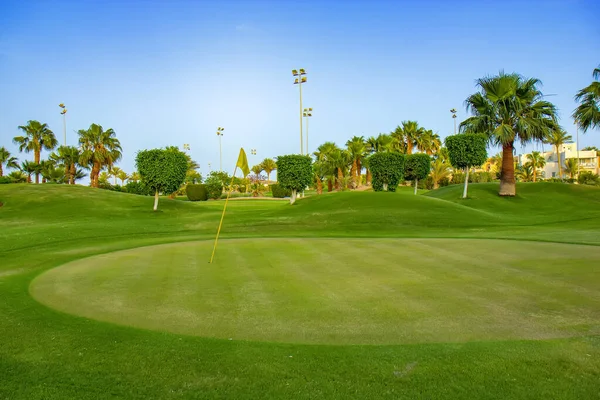 Terreno Golfe Palmeiras — Fotografia de Stock