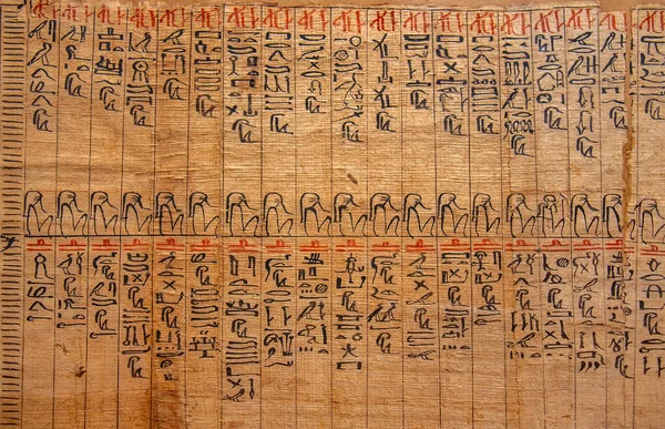 Forntida Papyrus Kairo Museum Egypten Detalj — Stockfoto