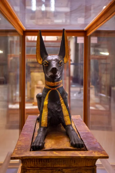 이집트 카이로 박물관에 아누비스의 — 스톡 사진